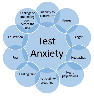 You are currently viewing Research based 12 daily habits to reduce stress and anxiety